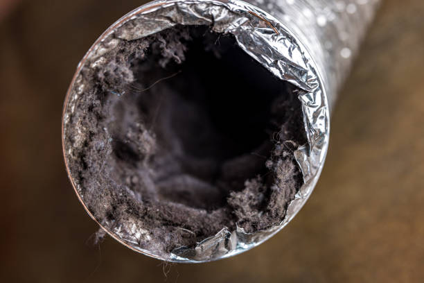 Affordable HVAC Duct Cleaning in NV