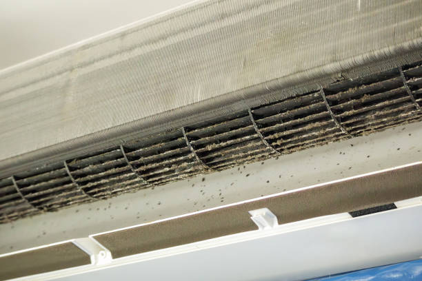Best Affordable HVAC Duct Cleaning  in Henderson, NV